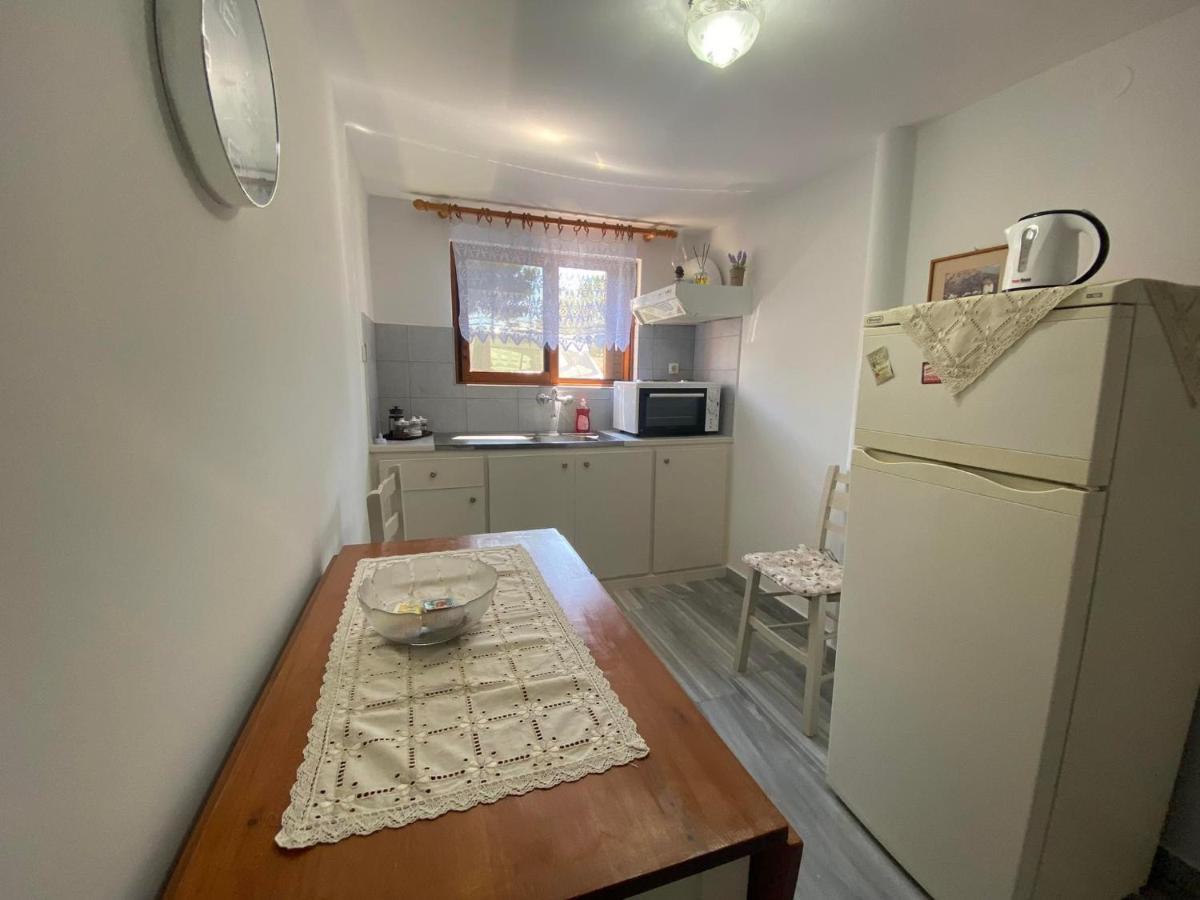 Stelios Zalonis Apartments Tínos Kültér fotó