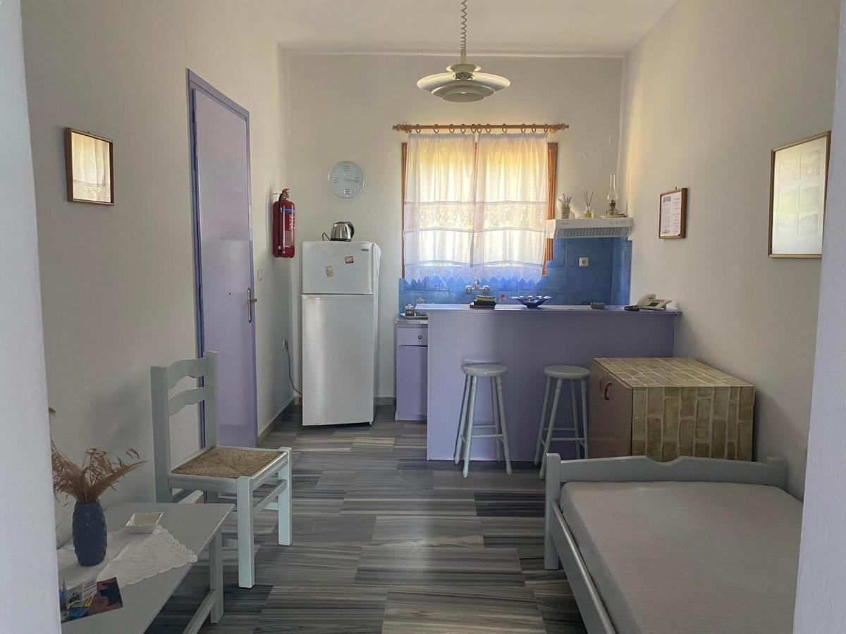 Stelios Zalonis Apartments Tínos Kültér fotó