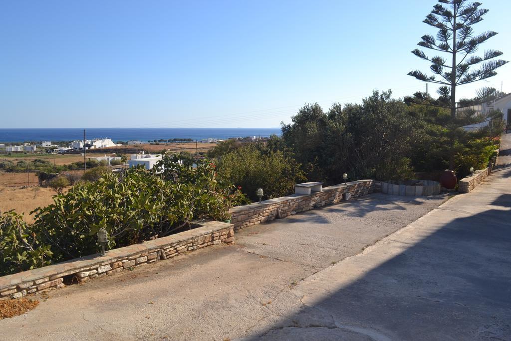 Stelios Zalonis Apartments Tínos Kültér fotó