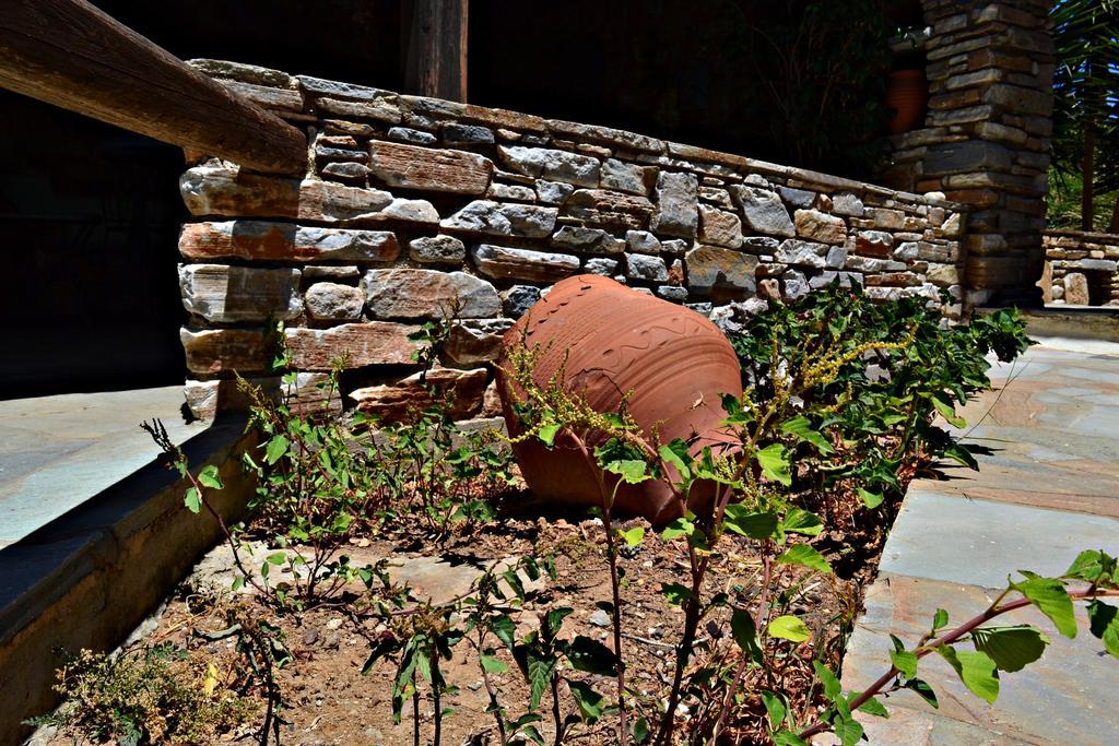 Stelios Zalonis Apartments Tínos Kültér fotó